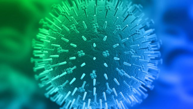 计算机辅助设计的抗病毒蛋白质可能防止未来的流行病