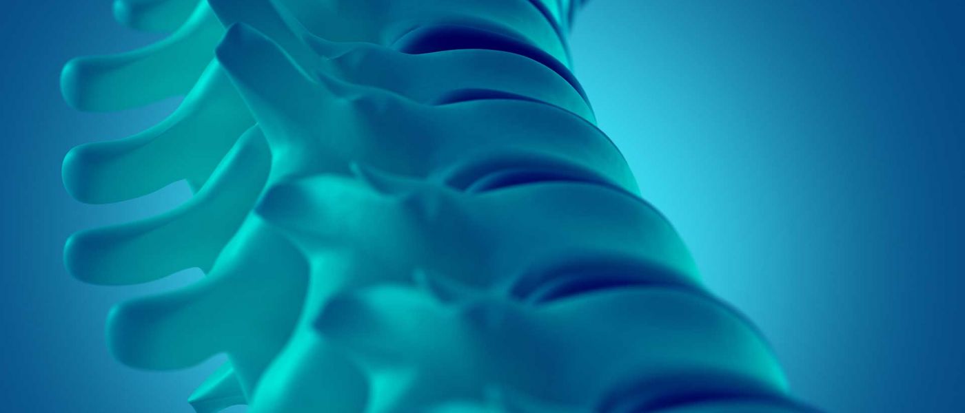 Sintetico il midollo spinale risolve il problema di paralisi