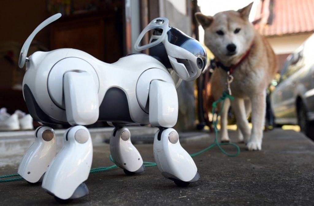 Sony publiera une nouvelle version de la légendaire robot Aibo