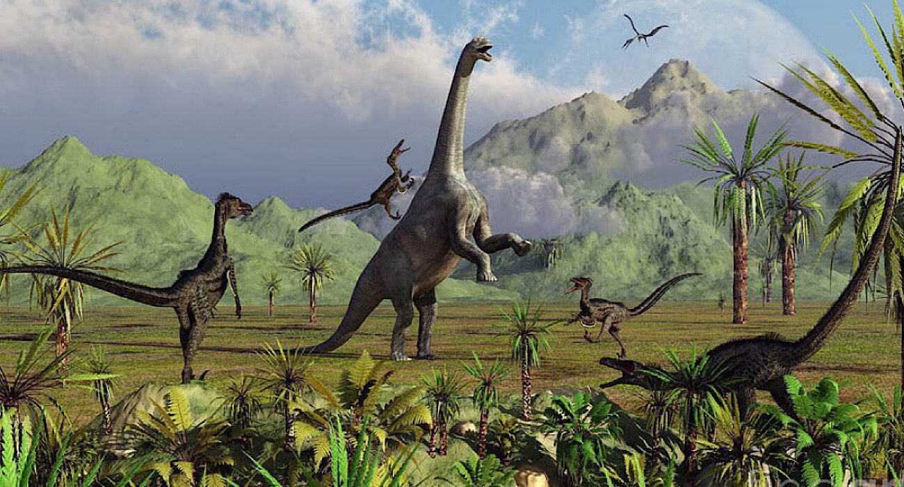 Aussterben der Dinosaurier — nur Zufall