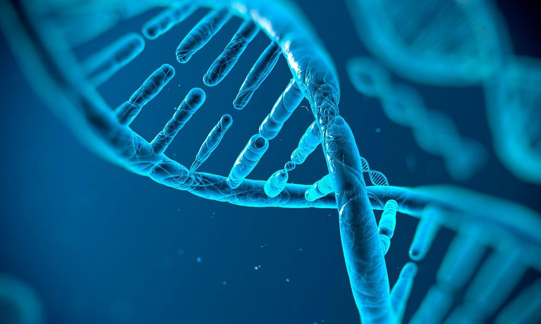 Ғалымдар алғаш рет отредактировали геном тікелей ішінде тірі адамның
