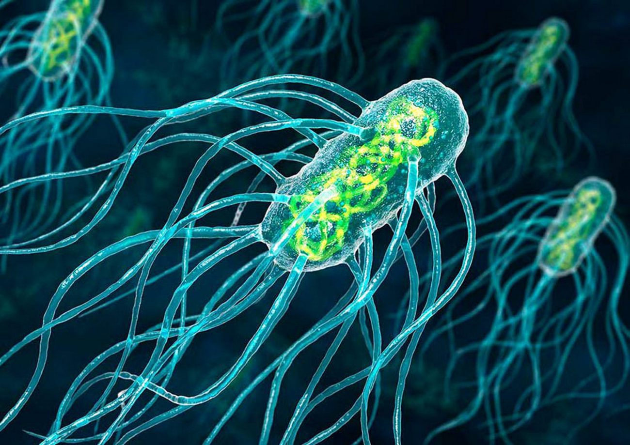 البكتيريا يمكن أن تتحول إلى الروبوتات الصغيرة