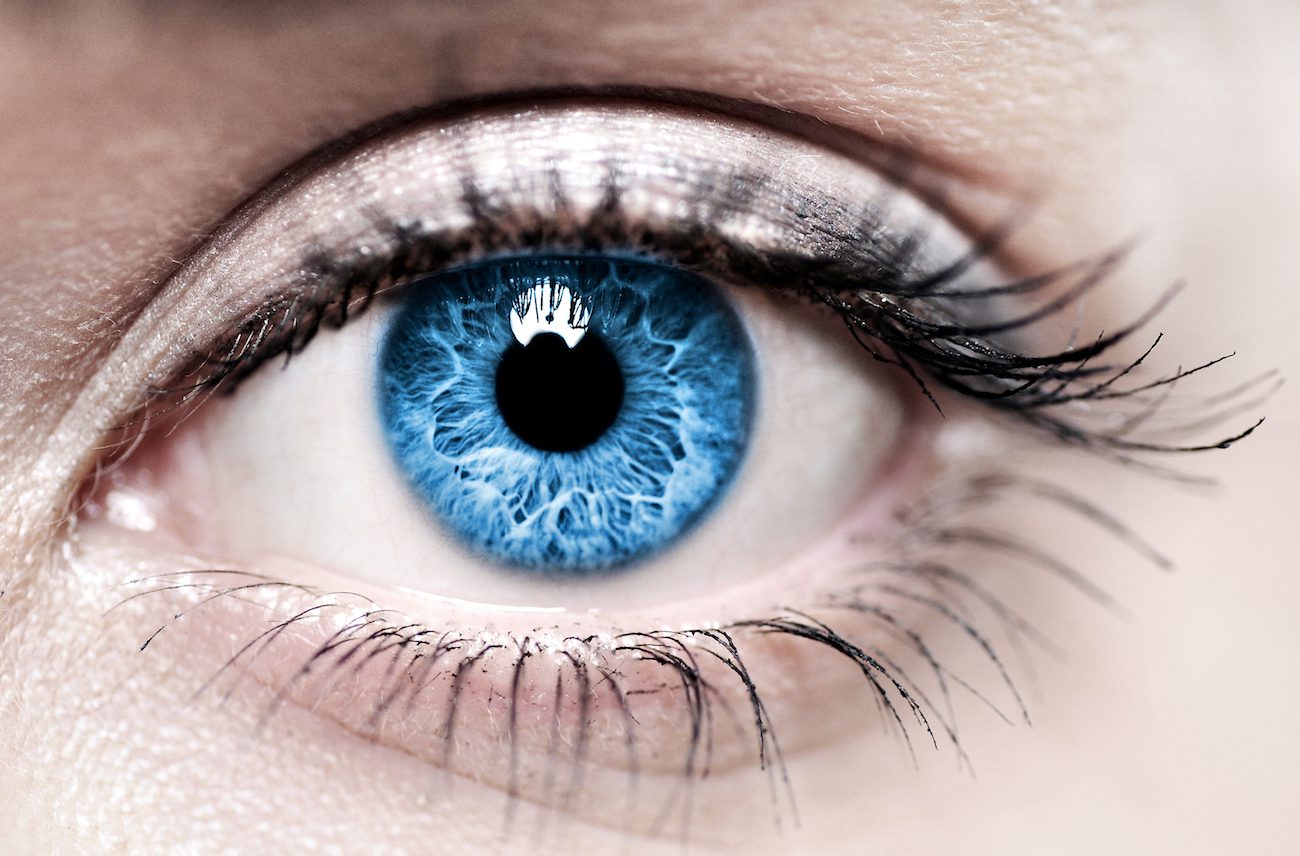 Entwickelt der Kleber für die Augen, die schützt vor Blindheit
