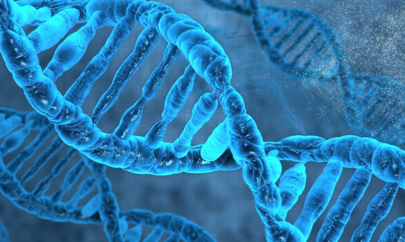 वैज्ञानिकों का आविष्कार किया है एक नया तरीका करने के लिए डेटा की दुकान के अंदर डीएनए