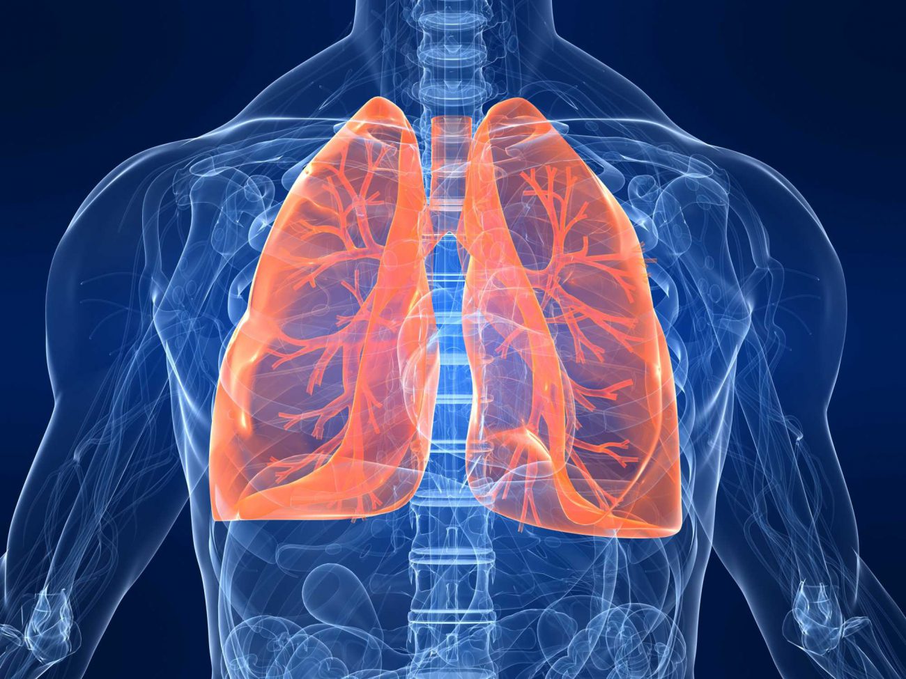 科学家首次设法重新建立肺组织