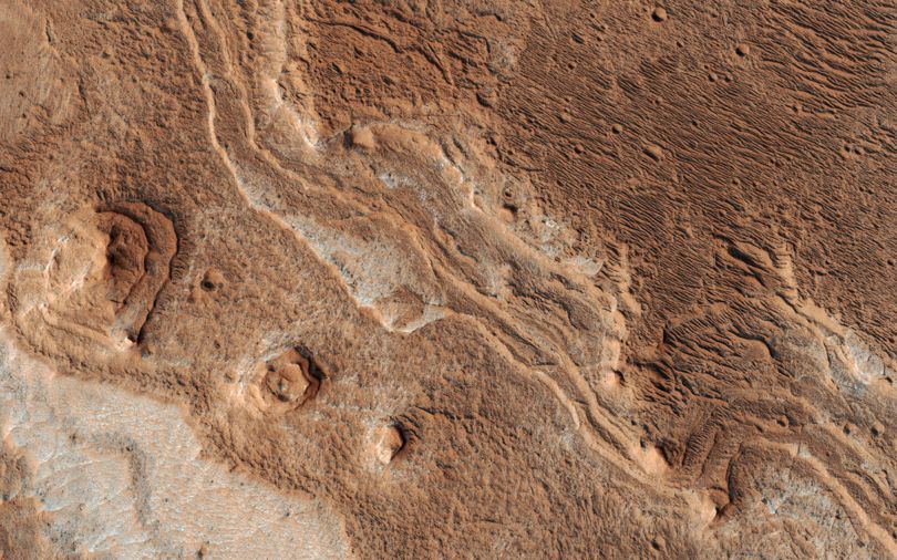 أول المريخ المستعمرين يمكن أن تصبح المعدلة وراثيا الناس