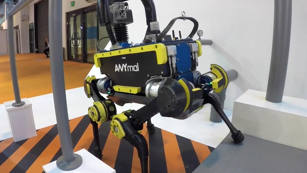 स्विस सिखाया रोबोट ANYmal ताल करने के लिए 