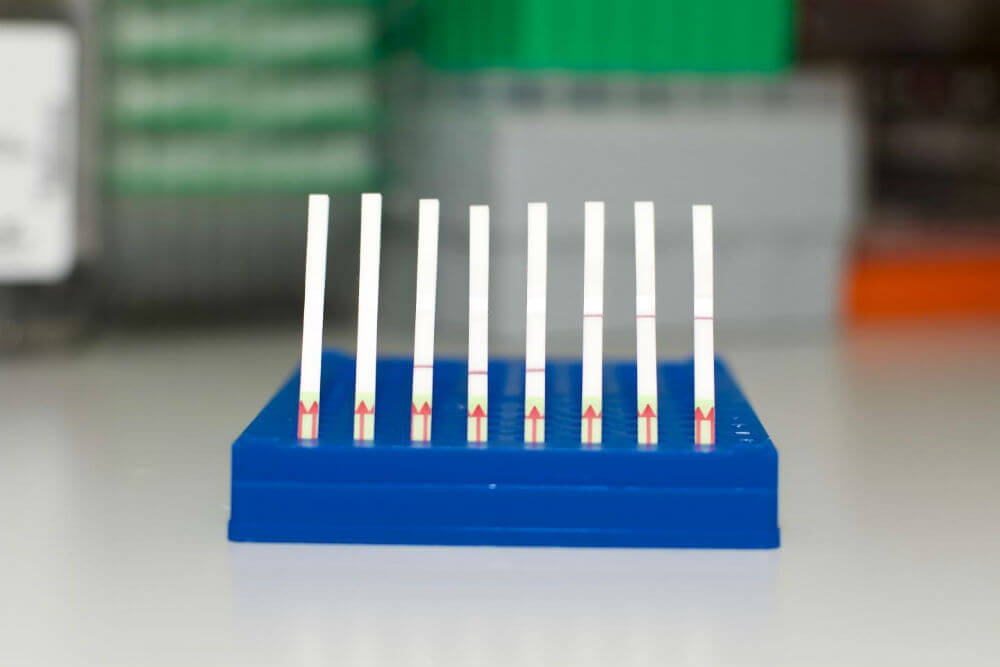 Құрал-саймандар CRISPR тигізген үш жаңа салынбақ