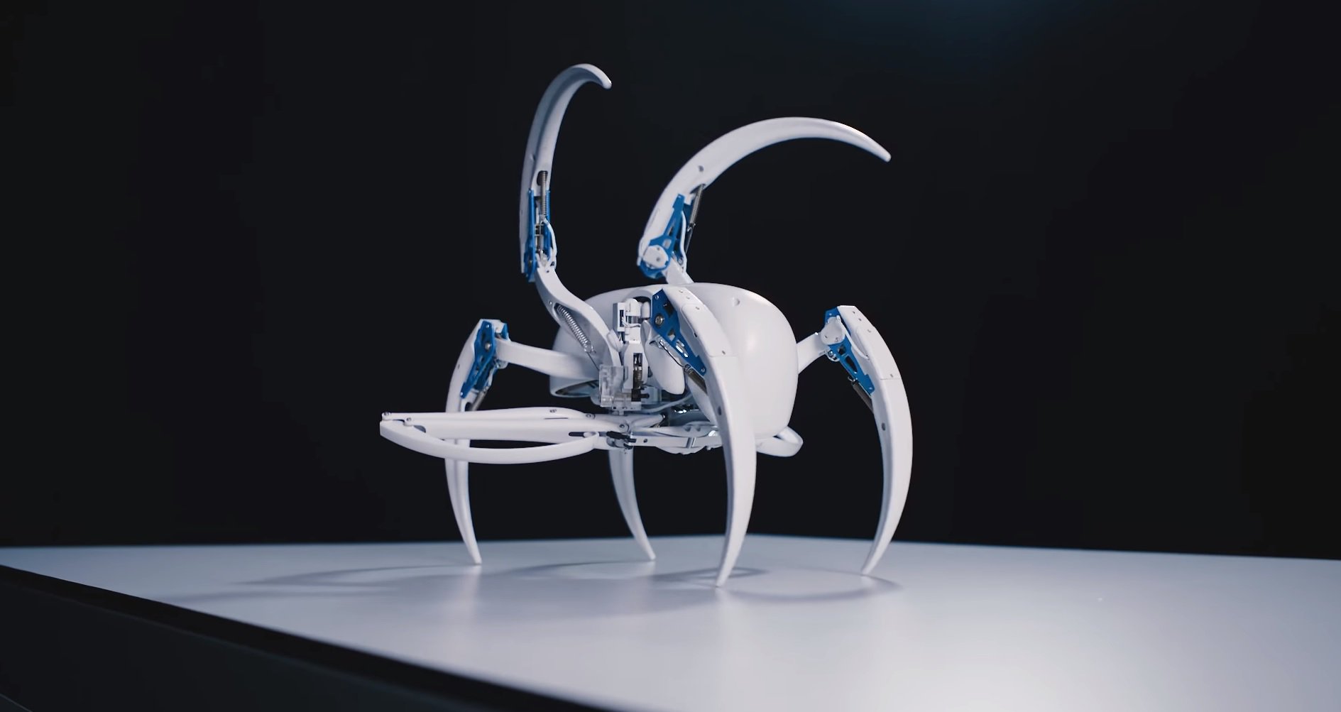 #video of the day | New robot-spider from Festo