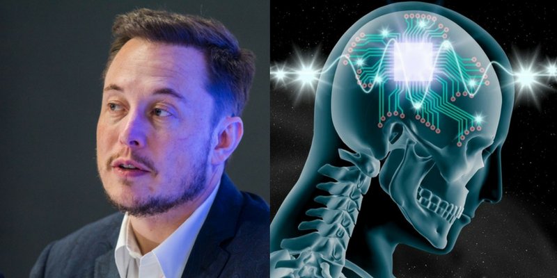 Neuralink Elon musk is building a laboratory for animal testing