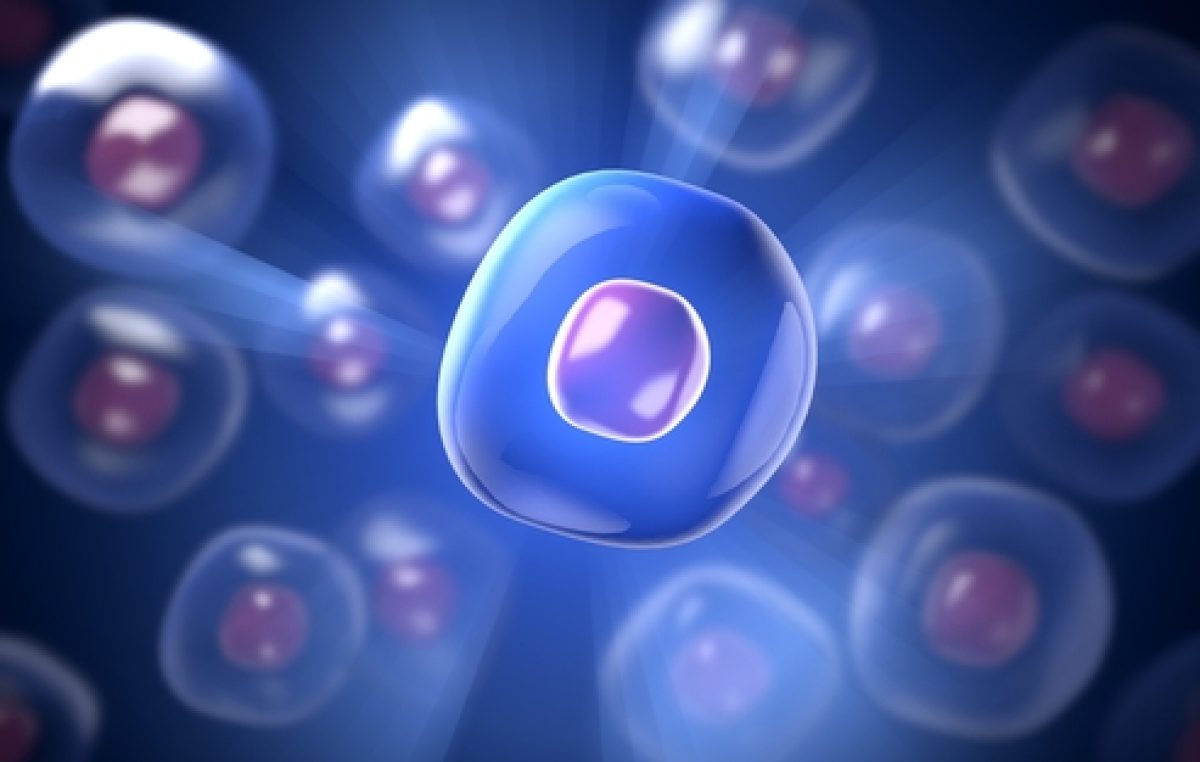 Os cientistas descobriram um novo tipo de células. E de forma muito específica
