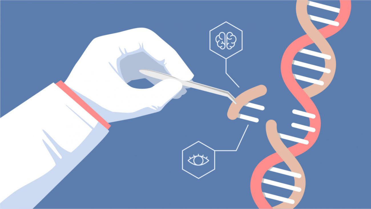 Con l'aiuto dell'editor del genoma CRISPR riuscito a curare la distrofia muscolare
