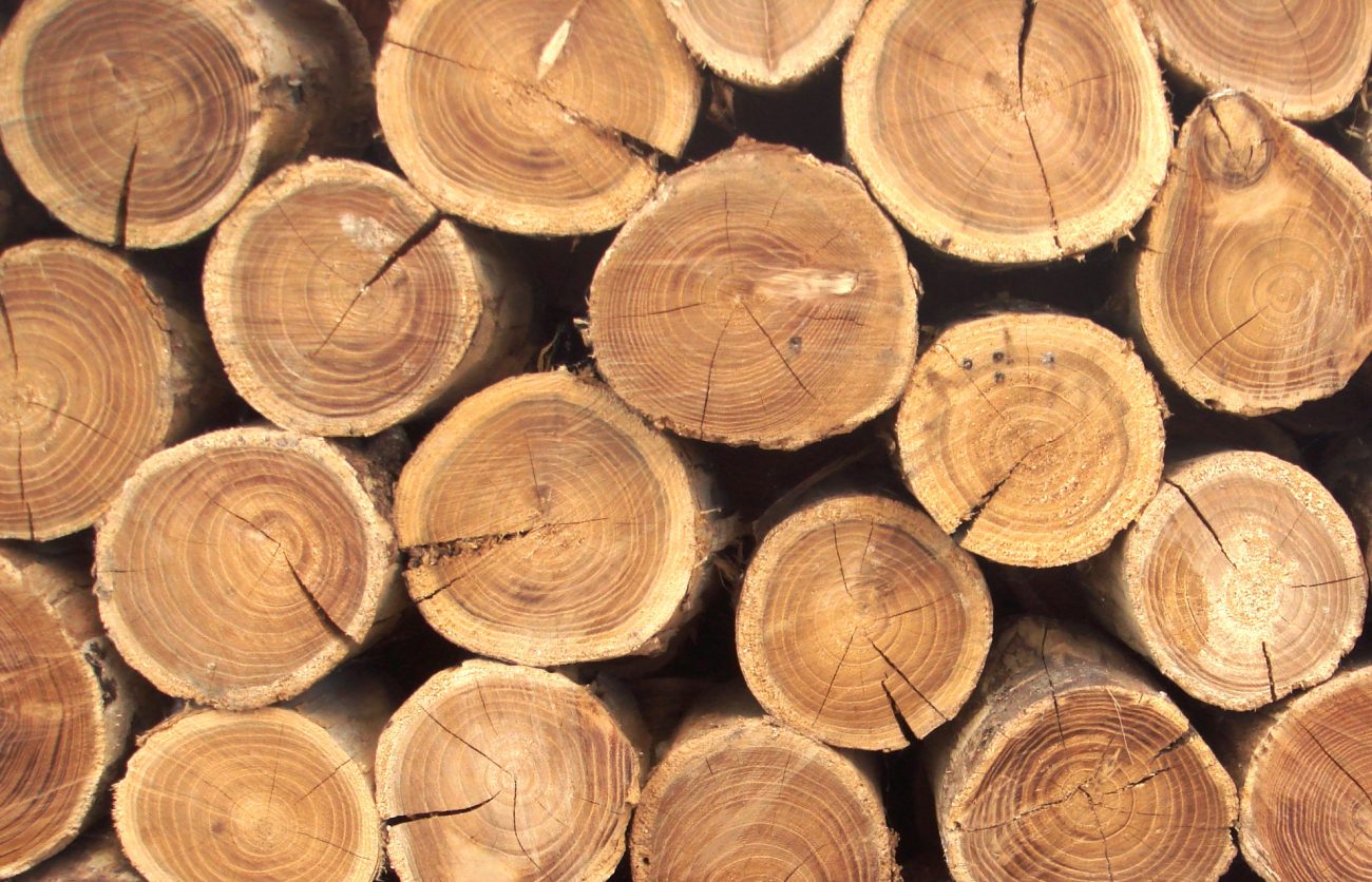 Cientistas chineses criaram artificial madeira, que não arde em chamas