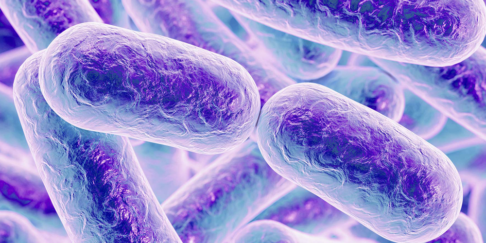 Bakterielle Protein ahmt unter DNA Verteidigungen zu durchbrechen Zellen