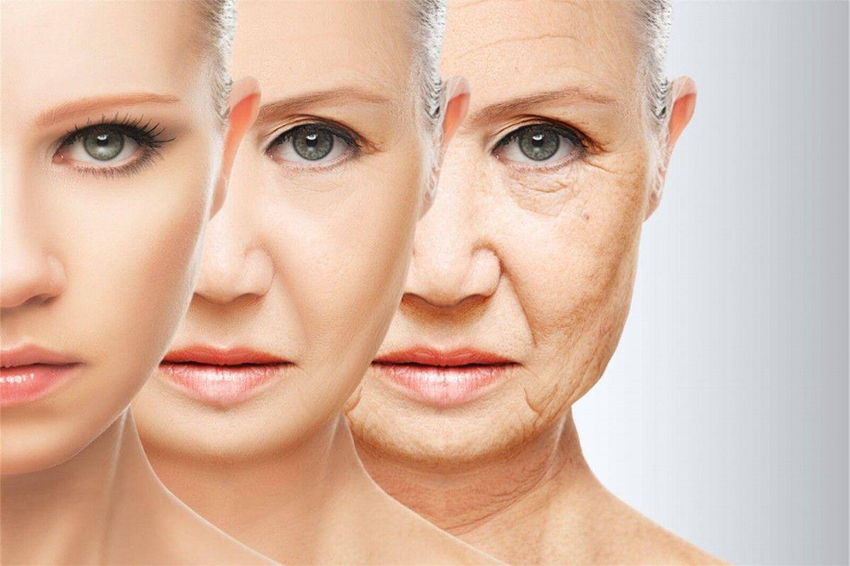 اكتشاف الجينات التي تلعب دورا أساسيا في عملية الشيخوخة