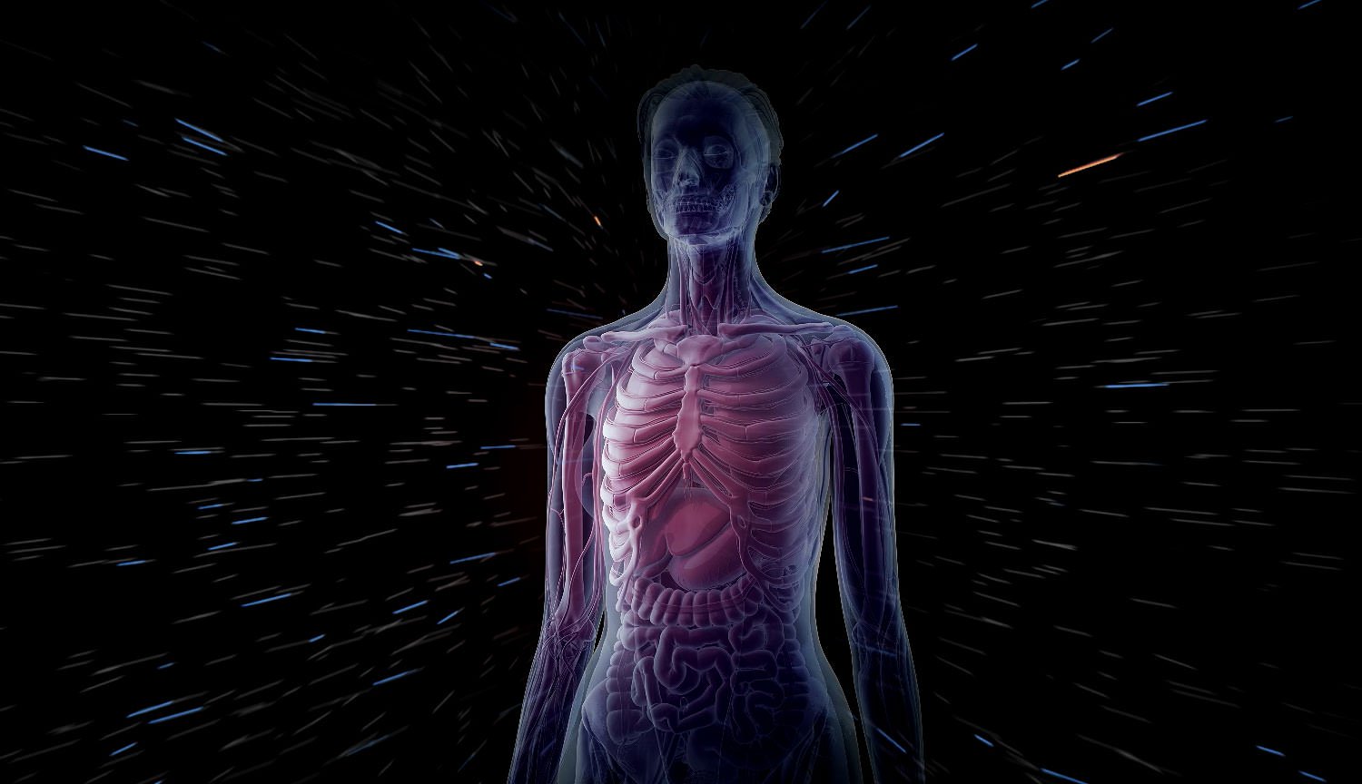 Les scientifiques à développer plus en détail le modèle 3D du corps humain