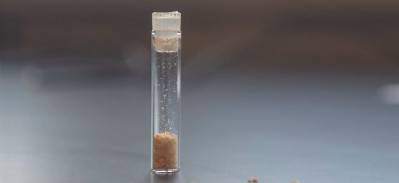 GENECIS: жоба бойынша қайта өңдеу және тамақ қалдықтарын биопластик үшін 3D-баспа