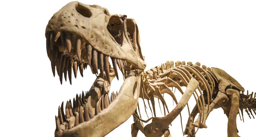 O T. rex mordendo com força inacreditável: duas vezes mais forte do que qualquer ser vivo