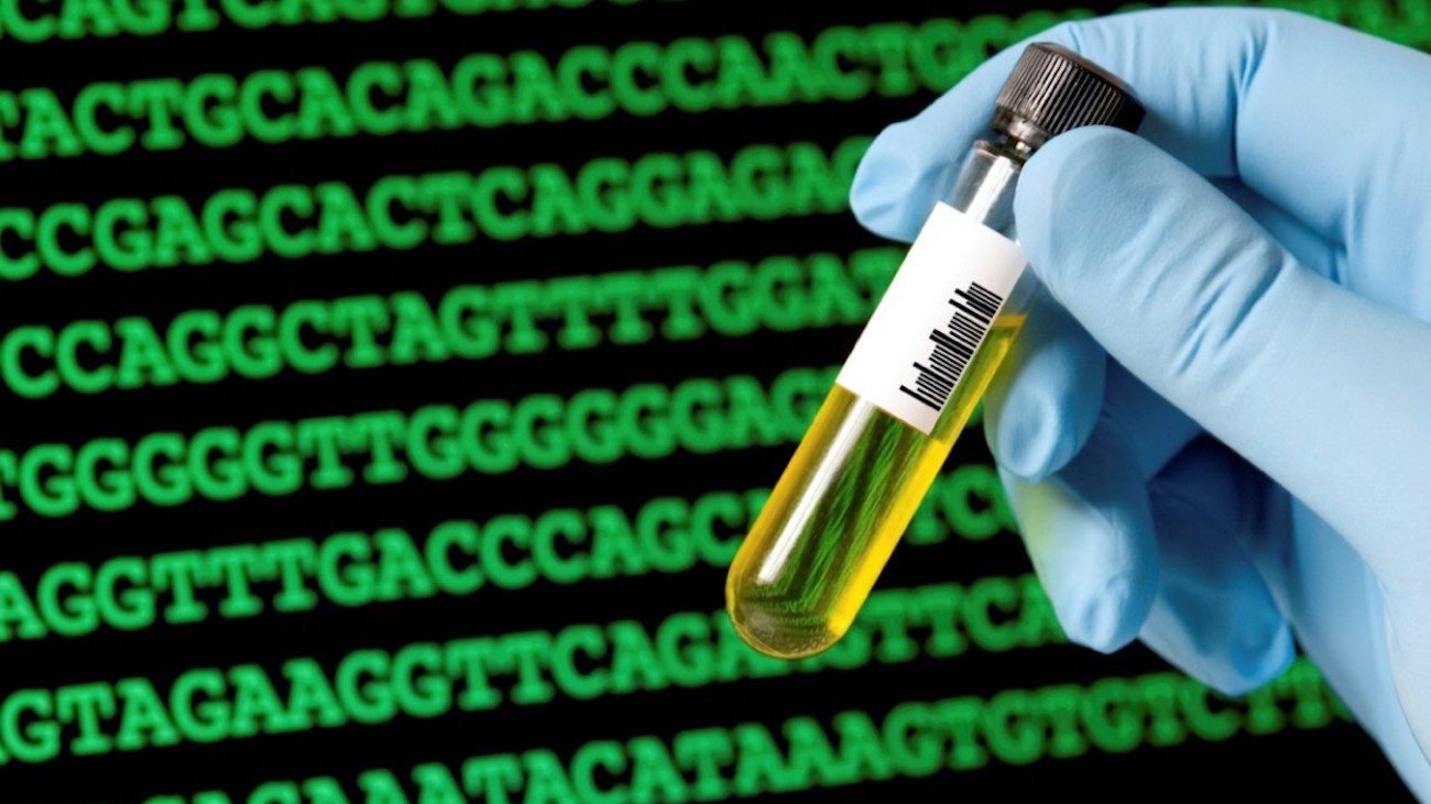 Ginkgo Bioworks will zu menschlichen Zellen in der «Factory on demand»