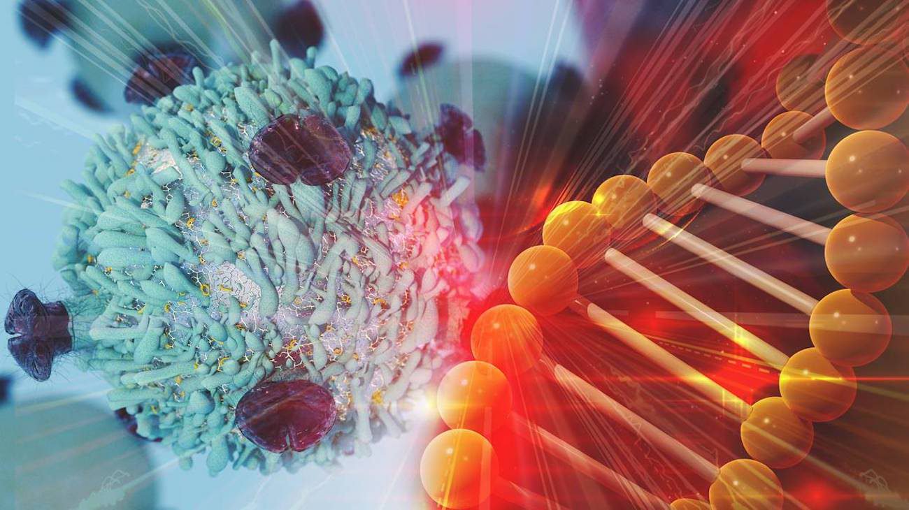 Вчені вперше «перепрограмували» імунітет на боротьбу з раком