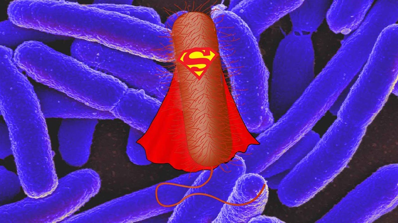 新的药物斗争的超级细菌作为
