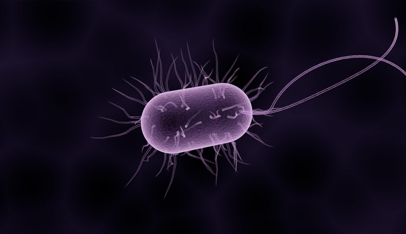 ХҒС табылған бактериялар, олар қорқынышты емес антибиотиктер