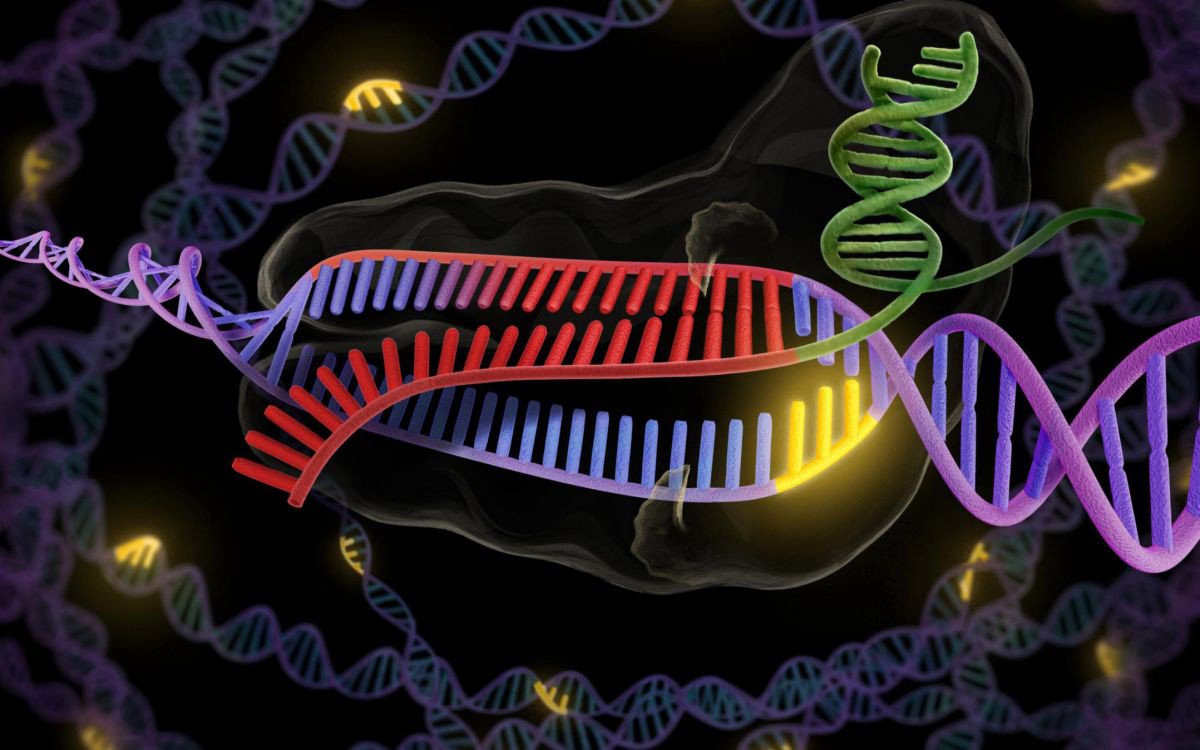 Çin emretti işi durdurmak düzenleme genom insan. Yazar eser kayboldu