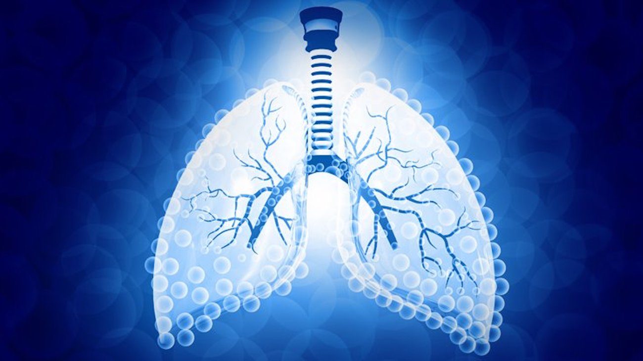 Erstellt eine «künstliche Lunge», die Umwandlung von Wasser in Wasserstoff als Brennstoff