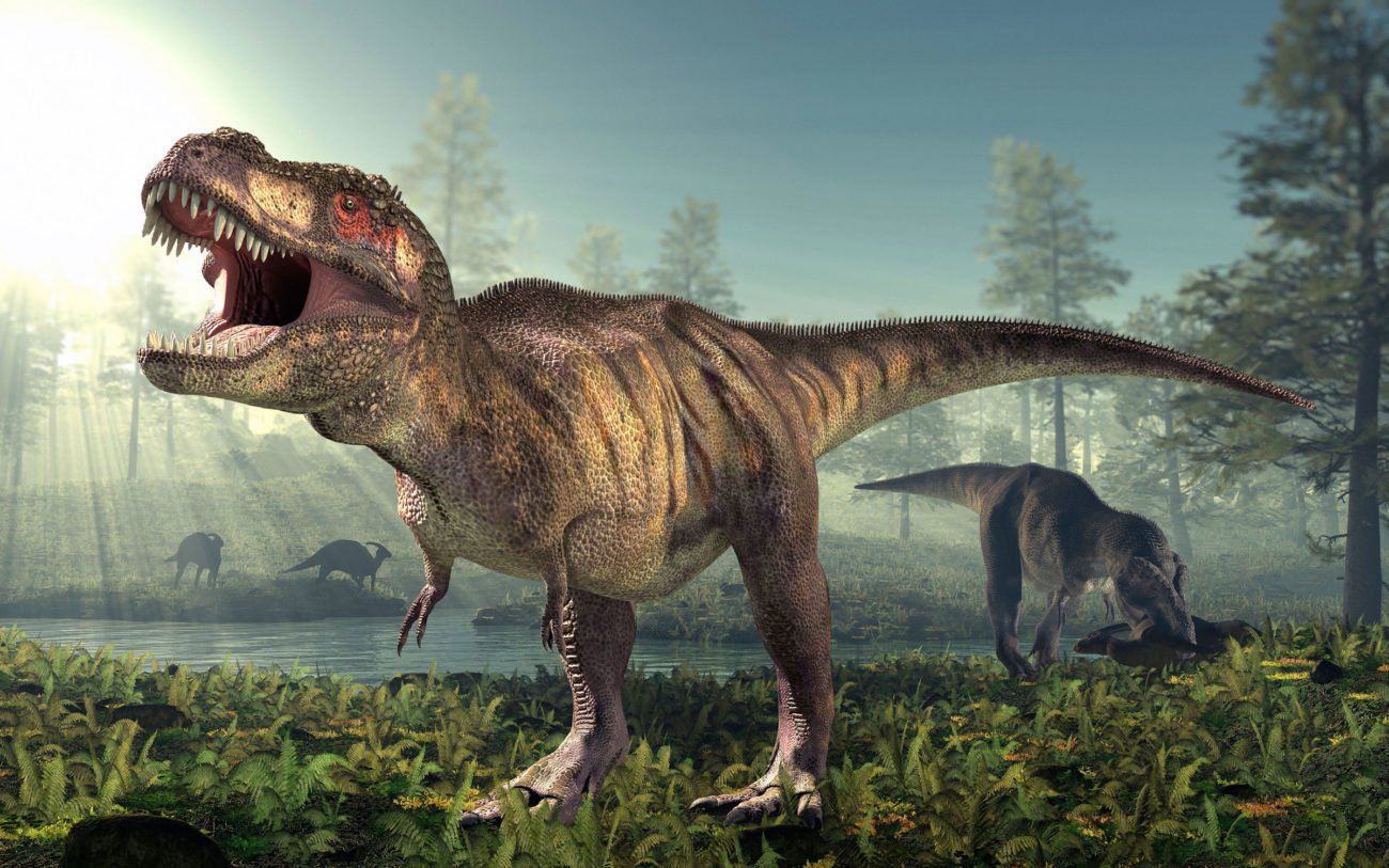 In den Alpen fanden Vorfahren des Tyrannosaurus. Und er vergoß das Licht auf die Evolution der alten Reptilien