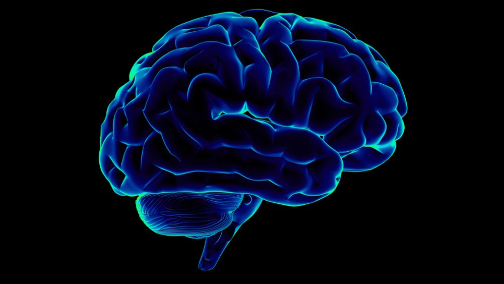 Neurologów trenowali sieć neuronową przesłać sygnały mózgu w членораздельную chodzi