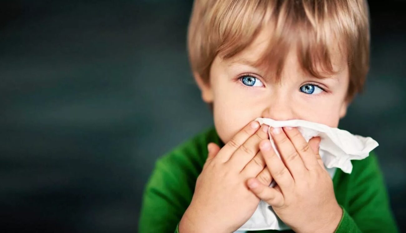 细菌的鼻子可以保护从流感