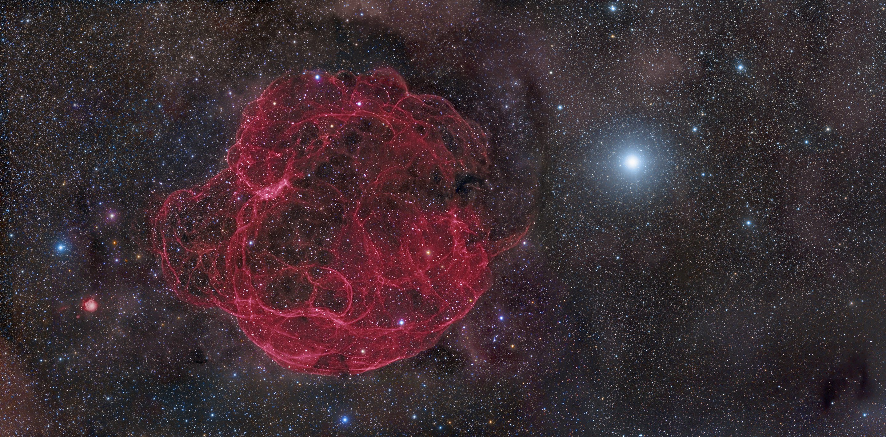 A nearby supernova could destroy large animals millions of years ago