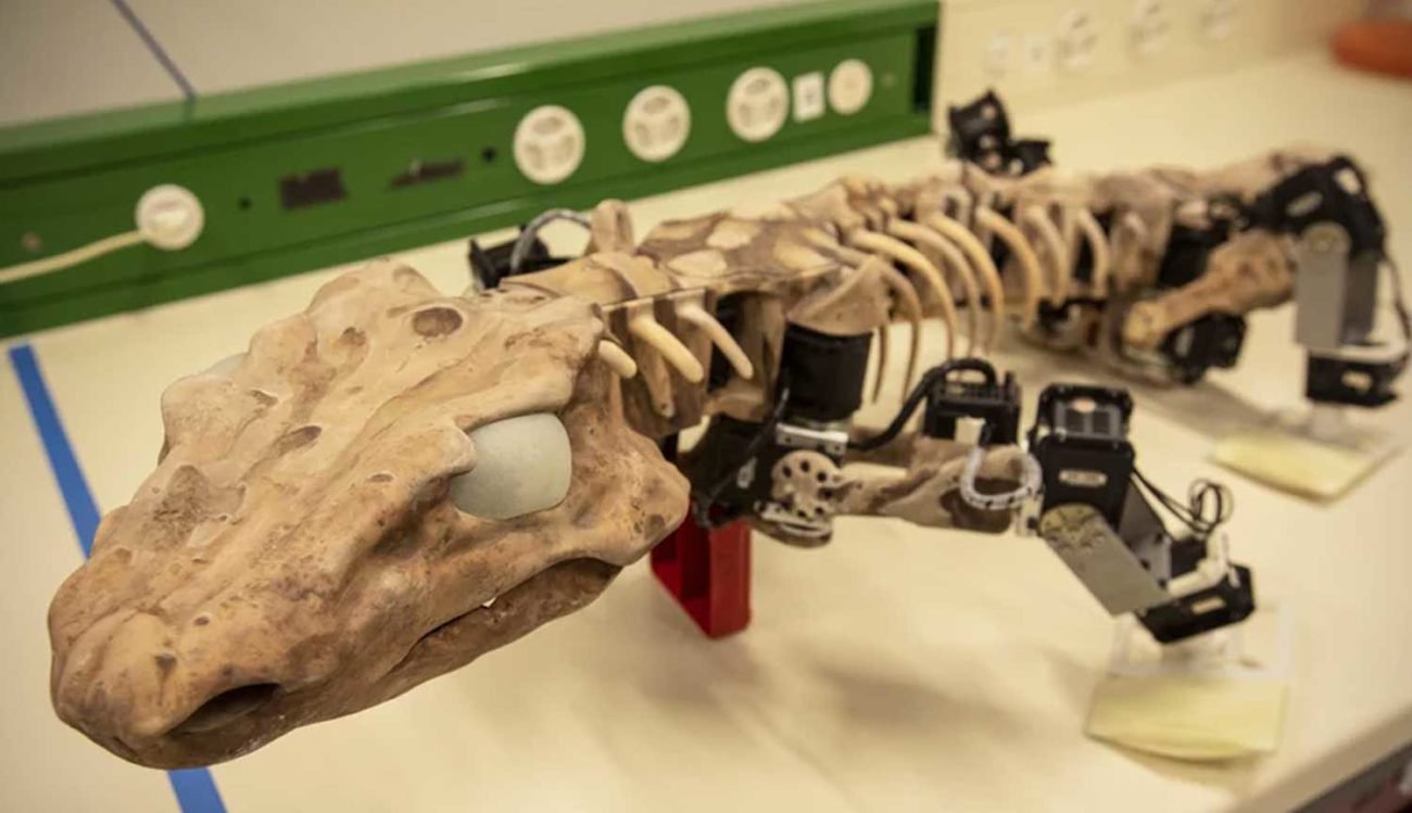Gli scienziati hanno creato un robot copia di un antico lucertola