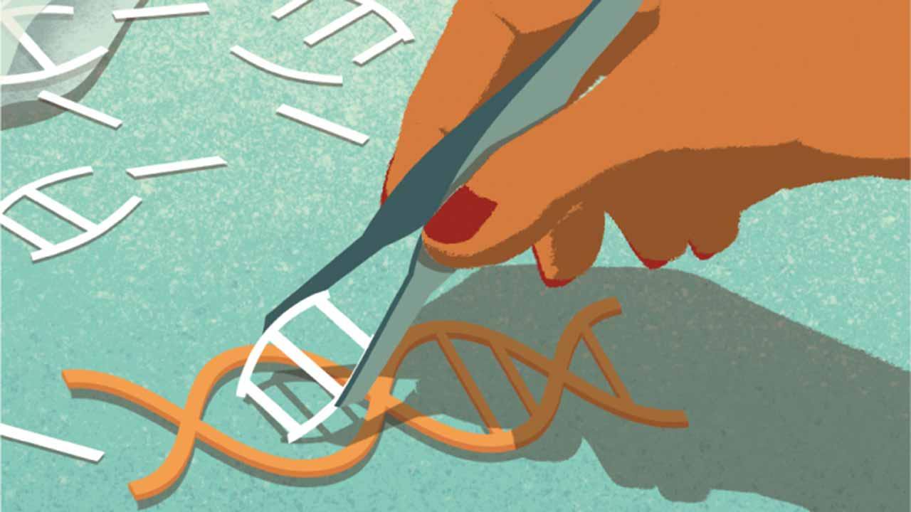 编辑工具境基因将有助于找到新的抗生素