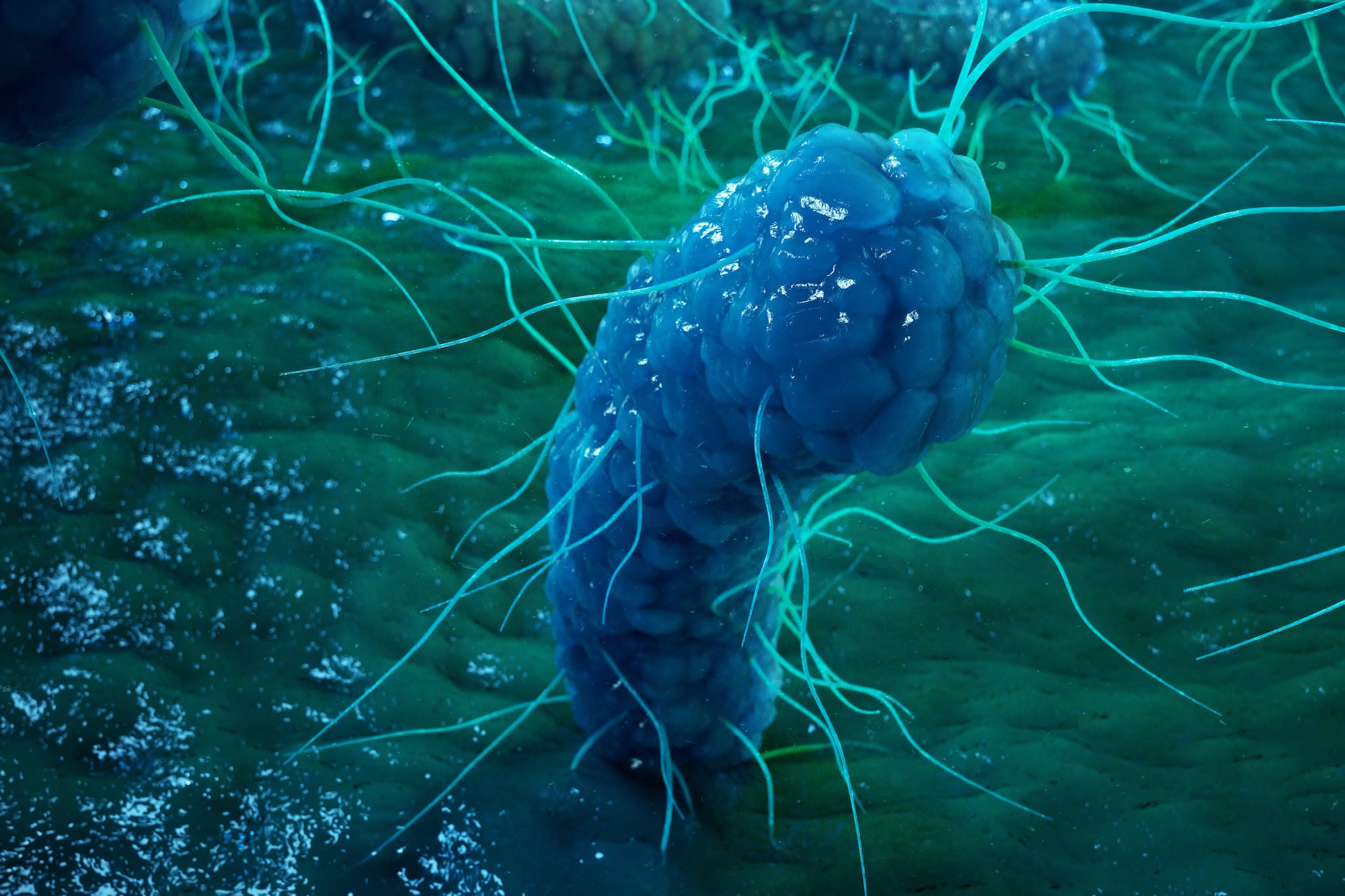 भूमिगत रोगाणुओं पर पहुँच गया है लगभग अमरता