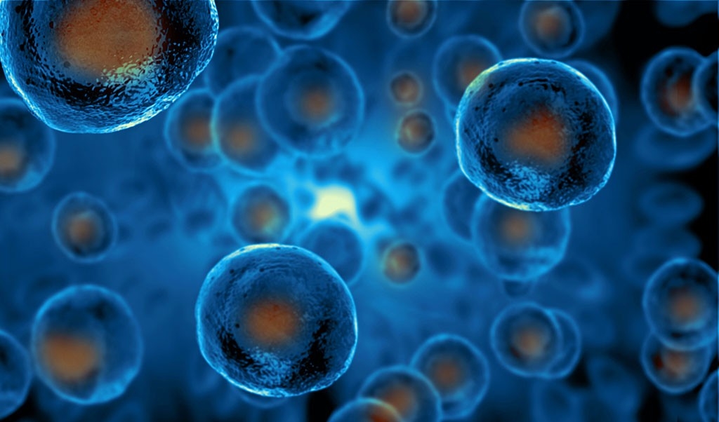 CRİSPR yapılan kök hücre «görünmez» bağışıklık sistemi için