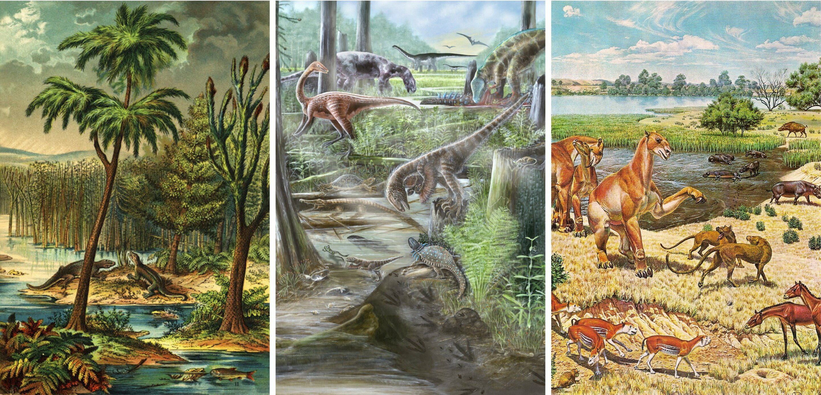 生命的多样性在地球上并没有改变，因为恐龙