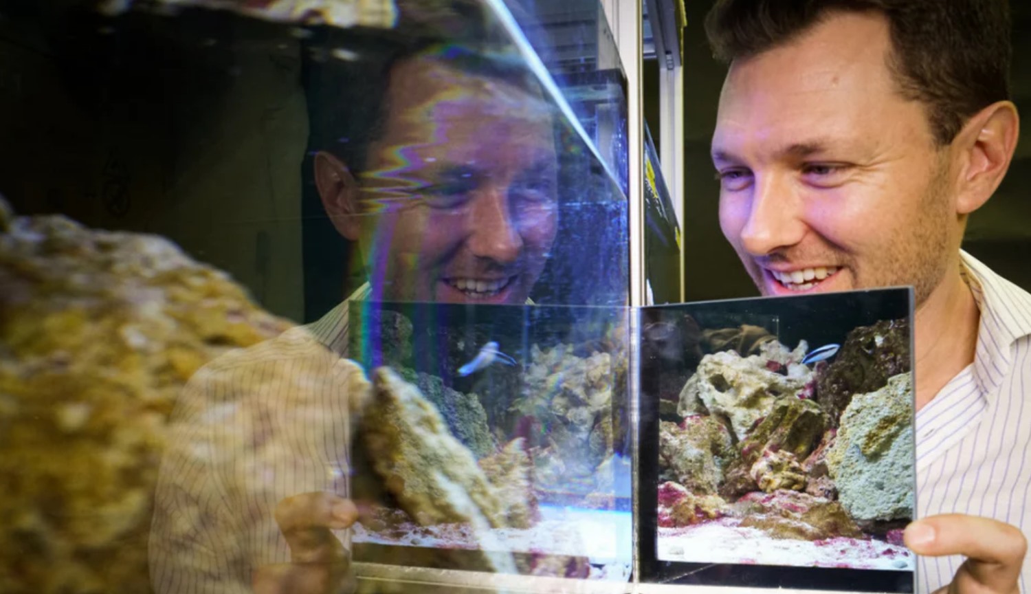 التجربة: معرفة ما إذا كانت الأسماك نفسها في المرآة ؟ 