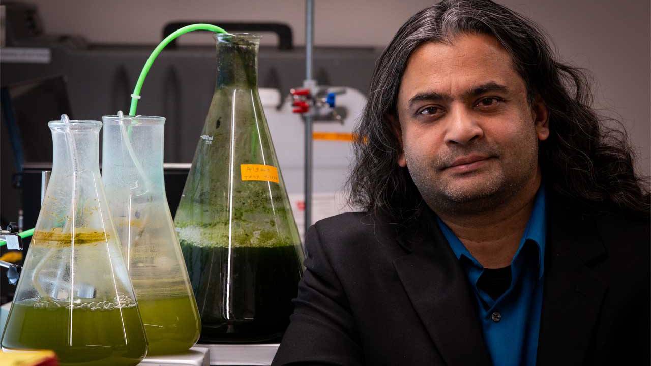 科学家们已经开发出一种便宜的方法对于生产生物燃料，从藻类