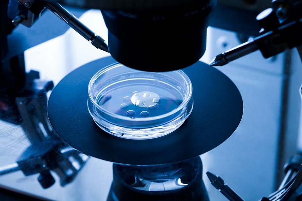 Gli scienziati hanno chiamato per il mondiale di divieto di utilizzo della tecnologia genetica modificare CRISPR