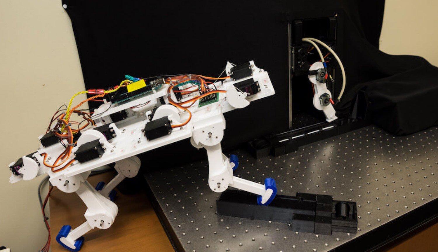 O robô aprendeu a andar a partir do zero em apenas 5 minutos e desenvolveu o porte individual