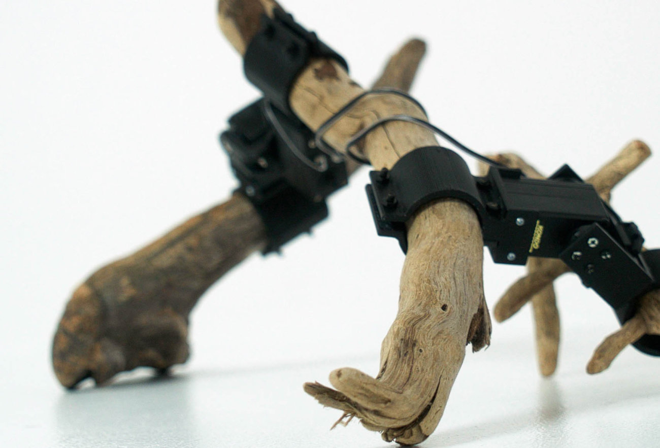 «De нейросетей et de bâtons»: comment inhabituel robot appris à marcher