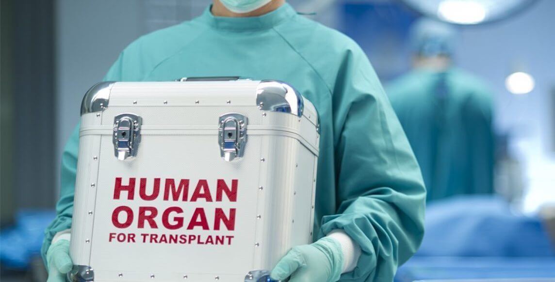 Trasplante de órganos de los animales y las personas sucede ya en este año