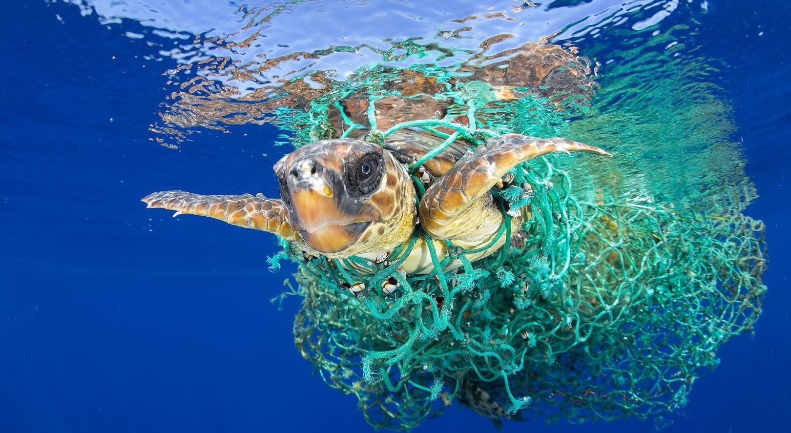 Trouvé le moyen de supprimer des océans tout en plastique