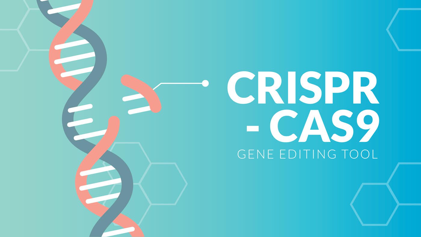 O editor do genoma CRISPR a primeira vez que usou para a terapia de HIV