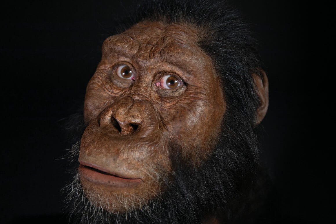 की तरह देखा सबसे पुराना मानव पूर्वज?