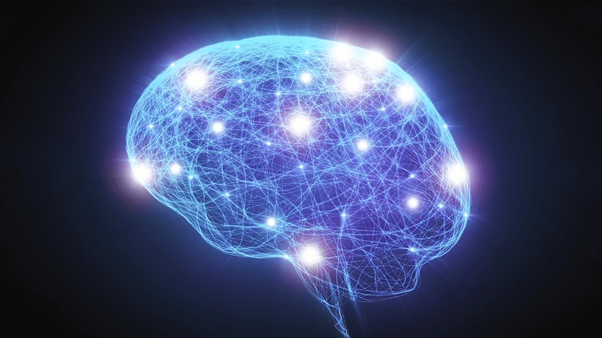 Wissenschaftler zum ersten mal behielten lebenden Hirngewebe in ein paar Wochen