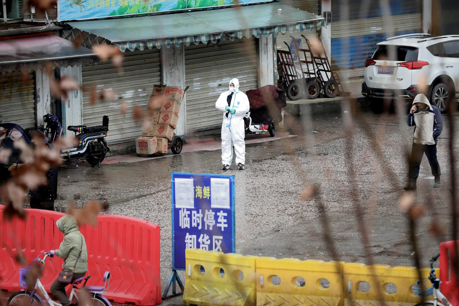 중국은 폐쇄 13 의 도시로 인해 코로나,그리고 가능한 한 원인의 전염병이라는 뱀