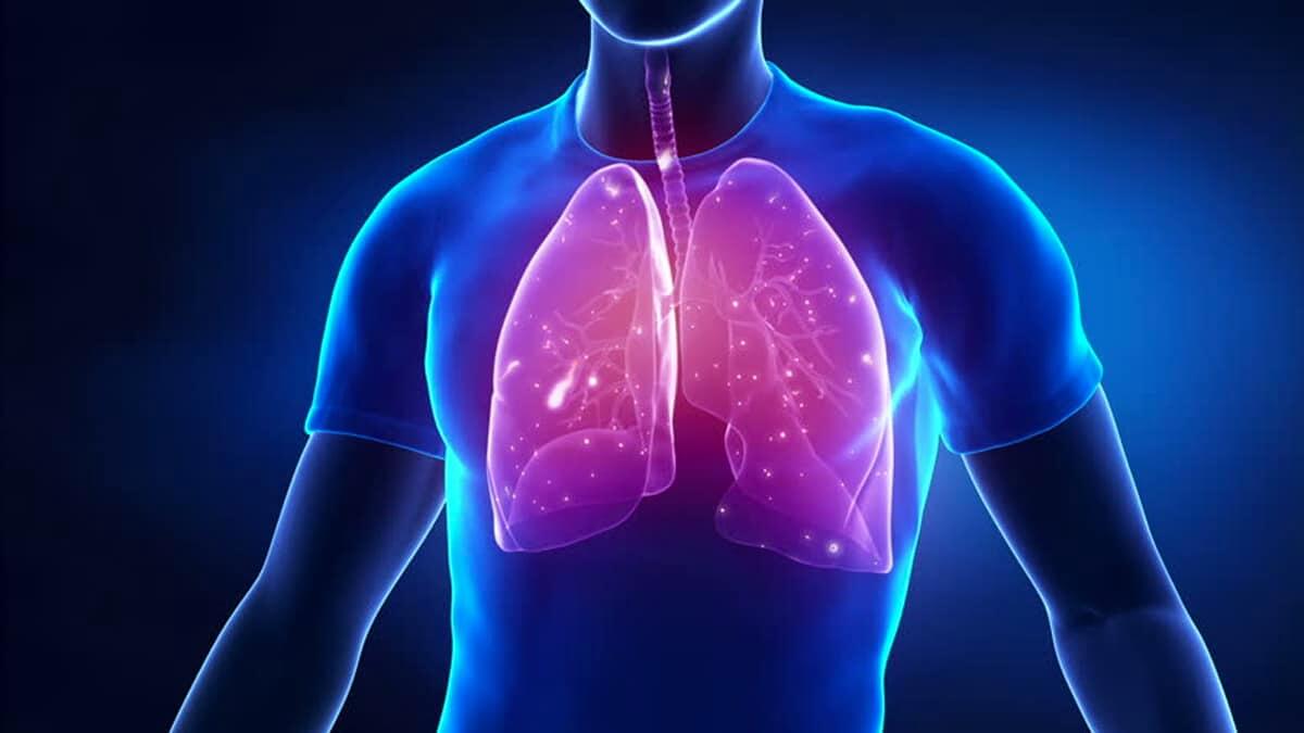 Perché un uomo l'aria e come funzionano i polmoni?