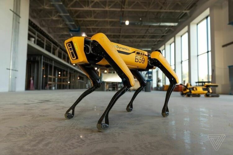 Roboty Boston Dynamics pomagają w walce z коронавирусом w USA